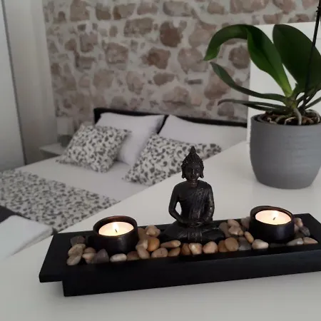 Zen In Center Of Rovigno